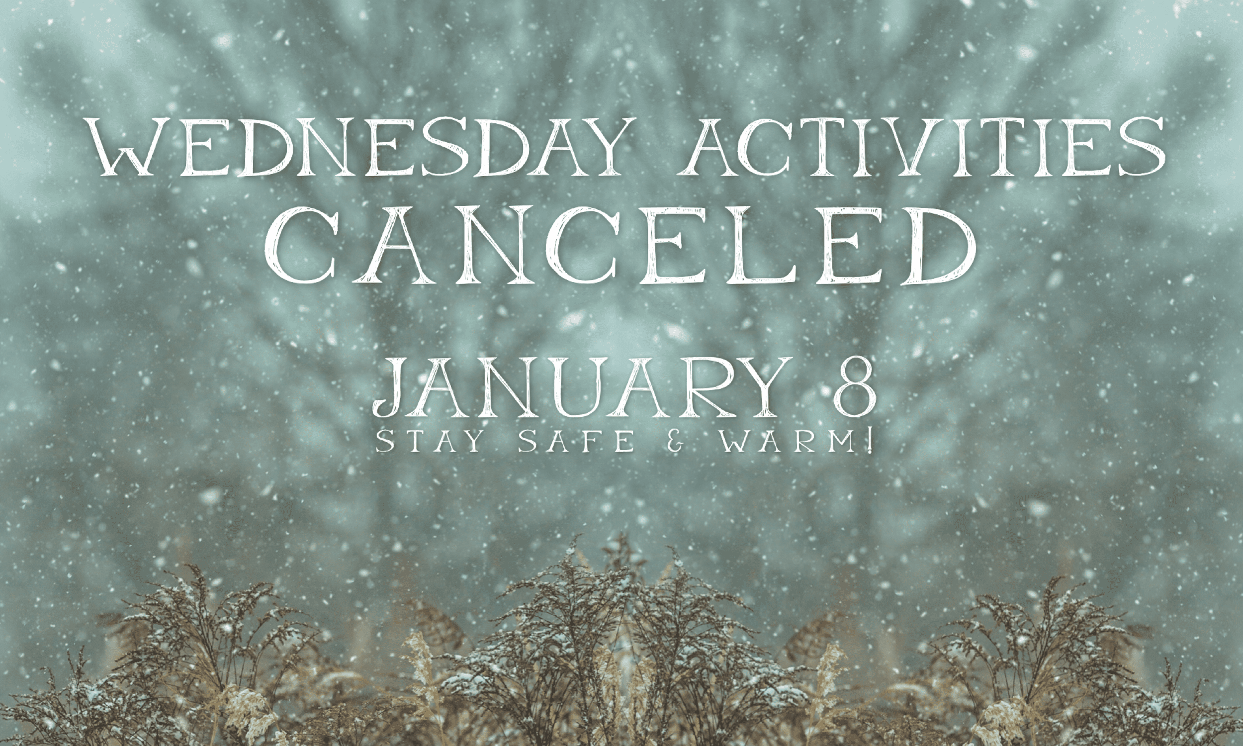 Wednesday Activities-January 8